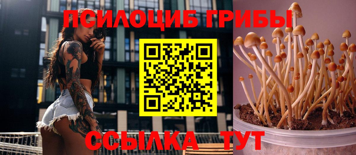 Псилоцибиновые грибы GOLDEN TEACHER  Галлюциногенные грибы ЛСД  Беслан  Вход с VPN 