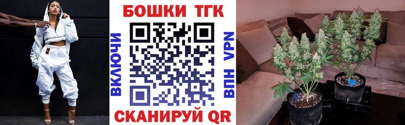 МАРИХУАНА Amnesia  Беслан 